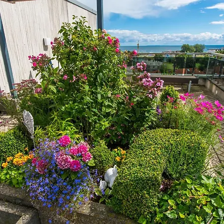 Berolina 110 - Ostseemuschel Lägenhet *