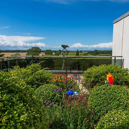 Berolina 110 - Ostseemuschel *